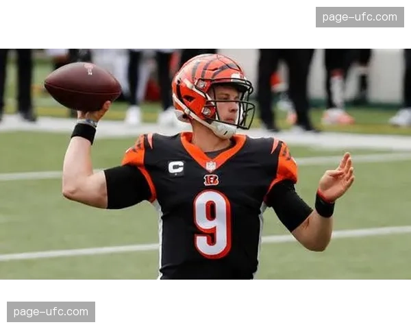 NFL自由市场：明星四分卫乔·伯罗与孟虎队达成五年顶薪续约协议