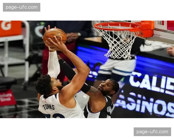 尼克斯曾登陆NBA赛场效力于休斯顿火箭队与明尼苏达森林狼队